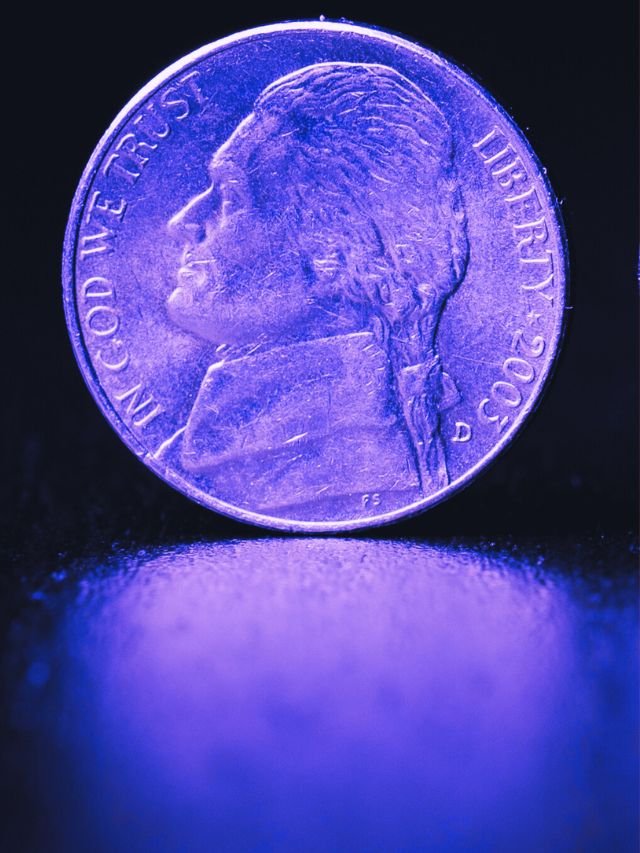 Top 12 Valued Buffalo Nickels - Cover